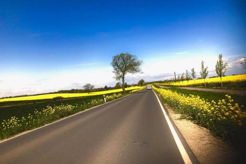 Hohe Düne - foto 35