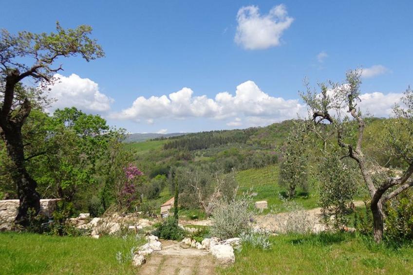 in Saturnia, Toskana - foto 8