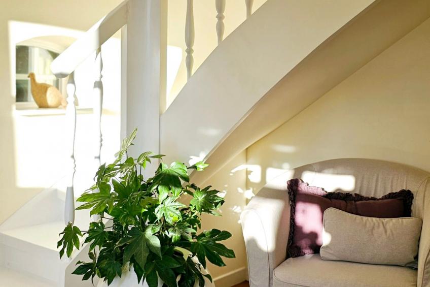 Luxuszeit zu Zweit - foto 8