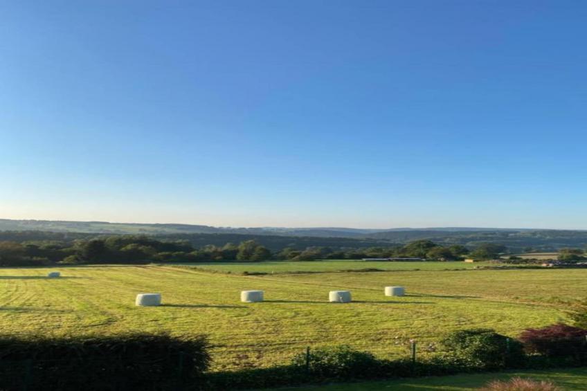 Apartament Nemojov A - foto 40