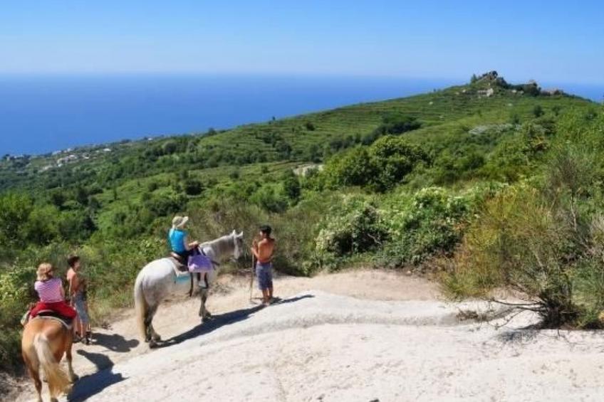 La Terrazza - foto 26