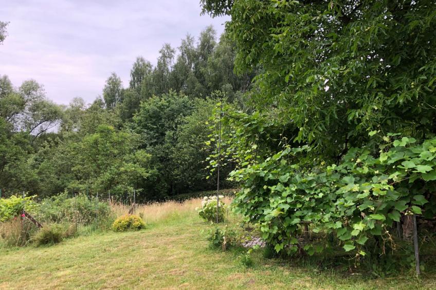 mit Wasserblick - foto 18