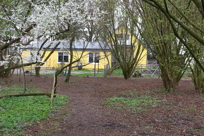 in Bad Bederkesa mit Garten - foto 10