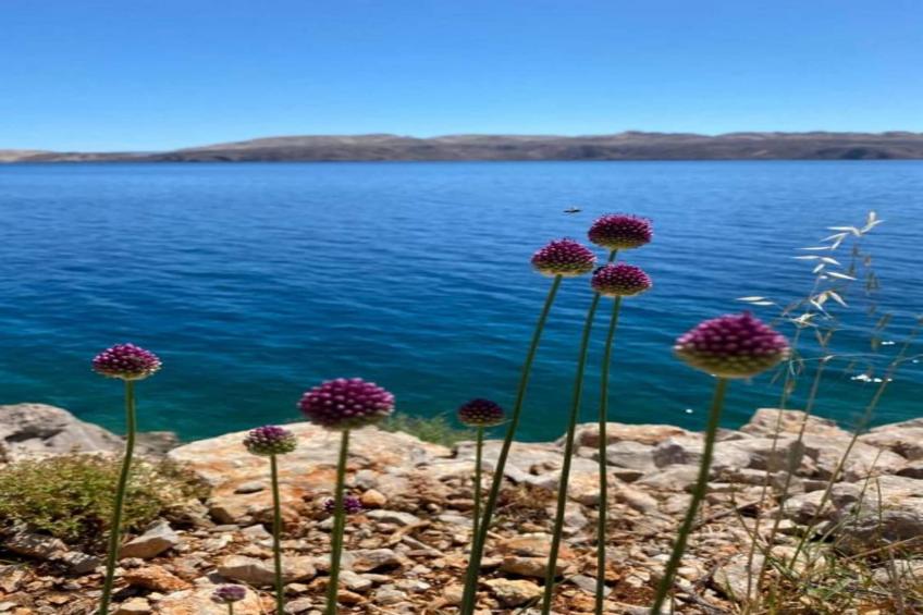 Studio Apartments Darija - A2 - foto 22