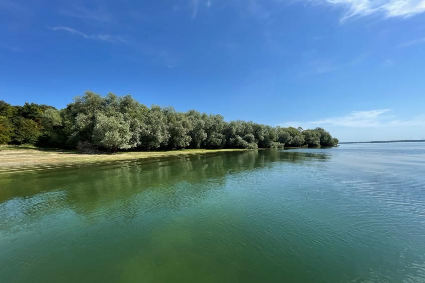 "chalet a giffaumont" klimatisiert am LAC DU DER - foto 17
