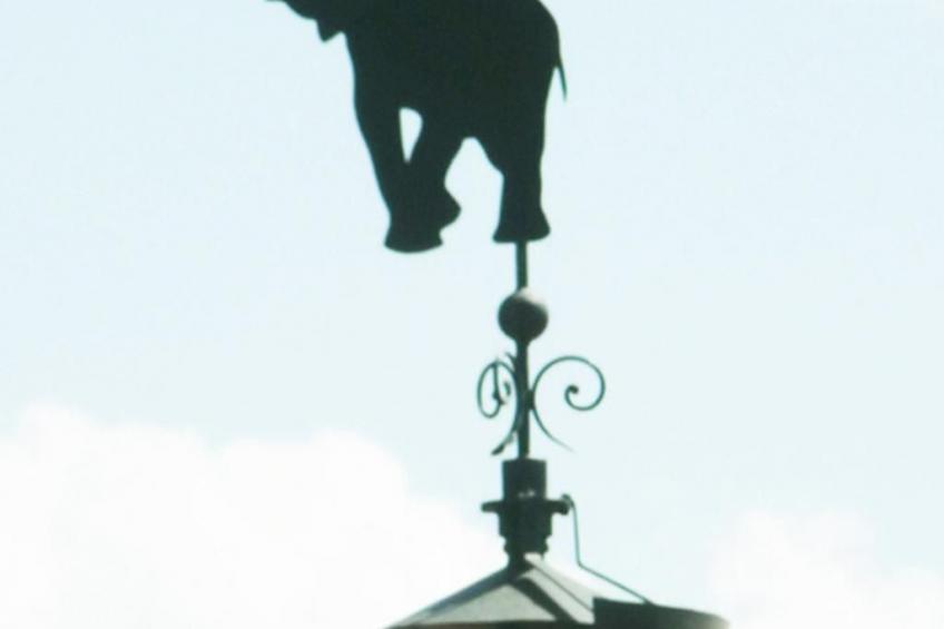 'Suite Ficodindia - foto 47