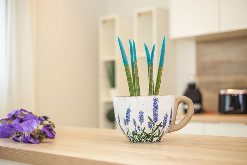 mit eigenem Garten und Grill - foto 11