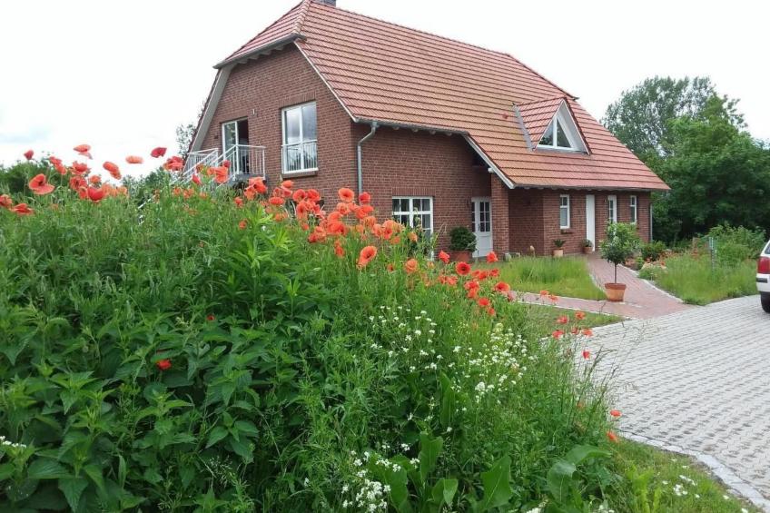 Schwalbennest - foto 24