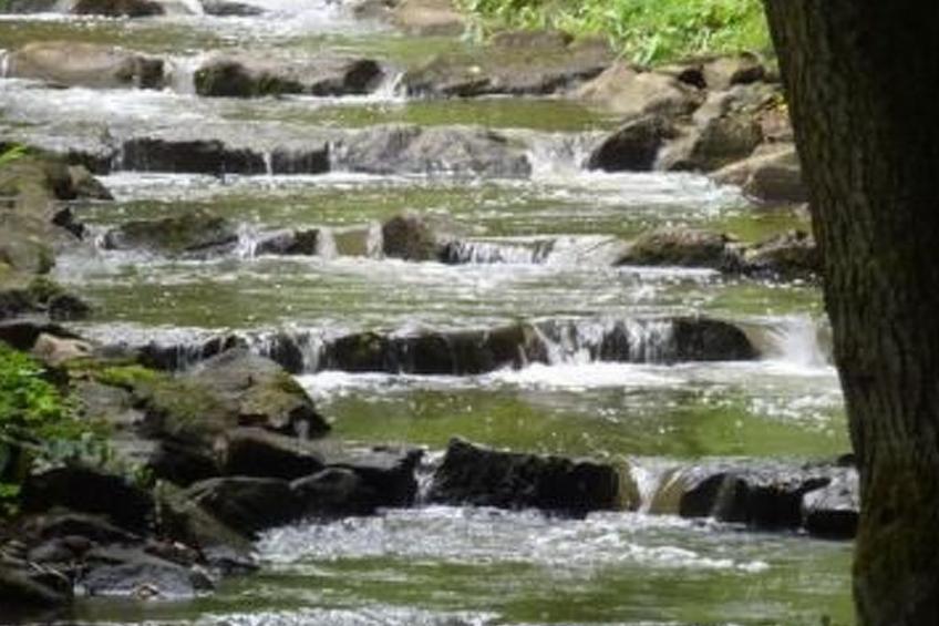 Am Waldrand - foto 43