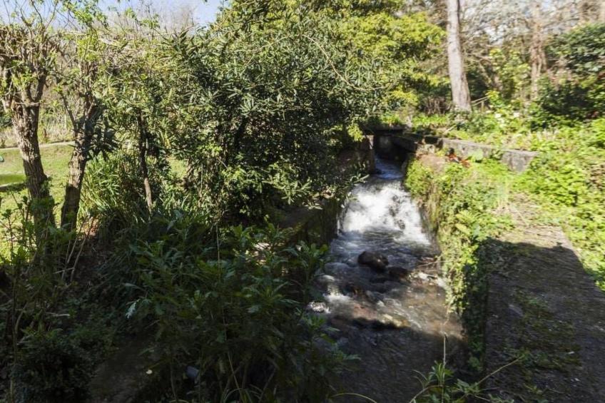 Maison du Moulin in Bauernhof - foto 39