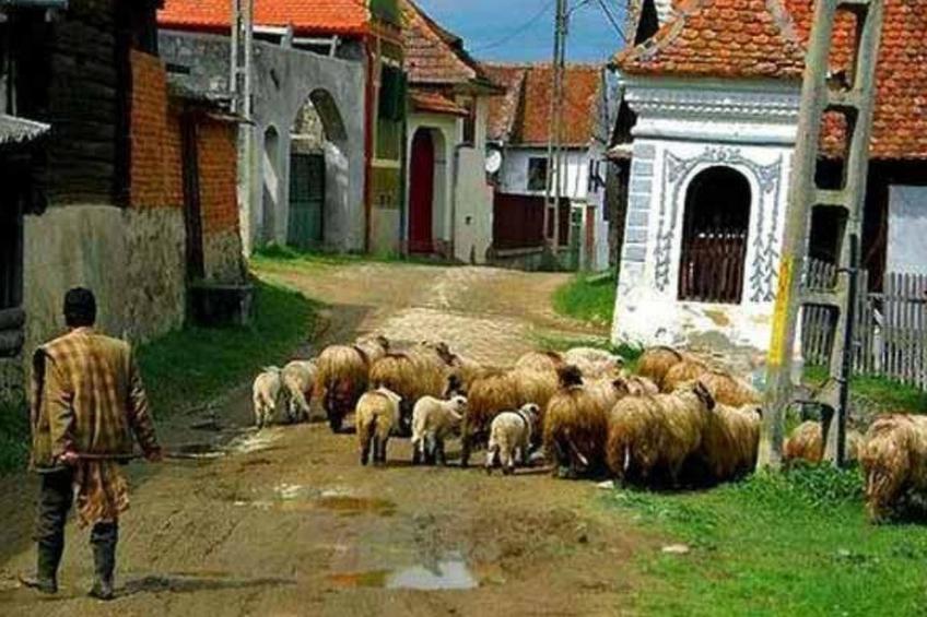 in Sibiel mit Terrasse und Grill - foto 25