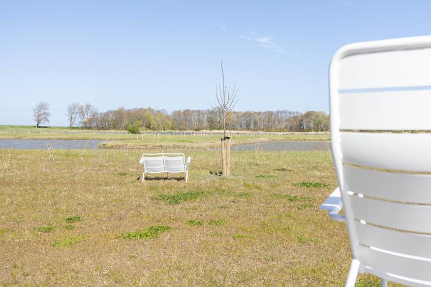 Natuur Oeverzicht - foto 79