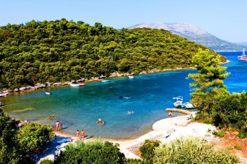 Apartments Villa Cebalo Korčula - Standard One Bedroom Apartment with Terrace and Sea View   EMA - foto 10