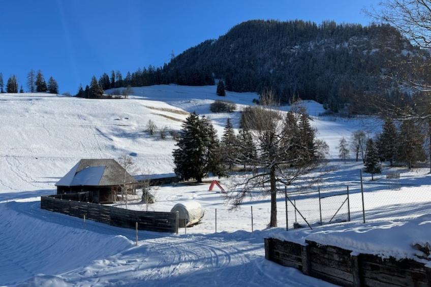 Albula B Chasa Nana, (Bergün/Bravuogn), 232 - foto 9