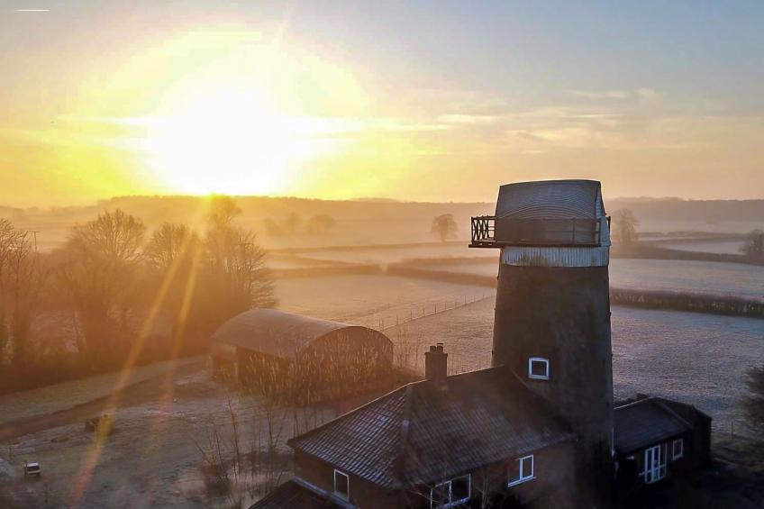The Old Windmill - foto 12