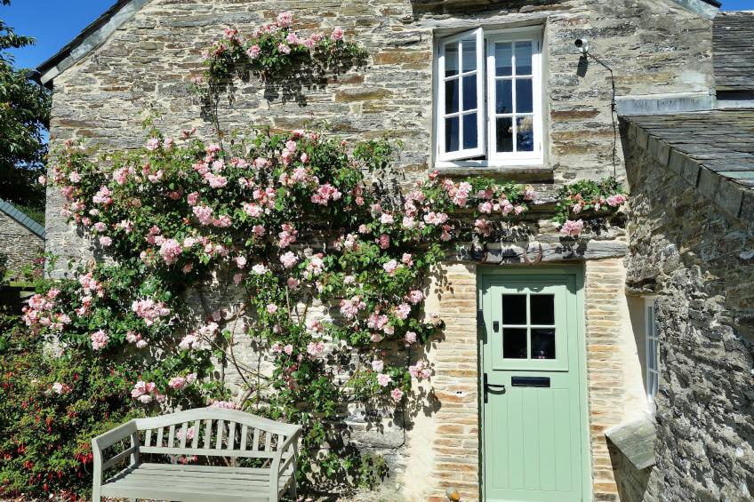 Porthcothan Mill Cottage - foto 21