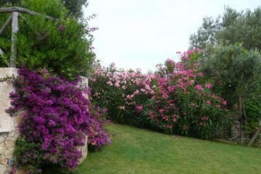 Einzimmerwohnung mit Panoramablick im Erdgeschoss - foto 7