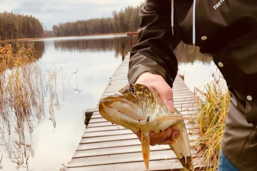 Leśniczówka Szeroki Bór Pisz - foto 29