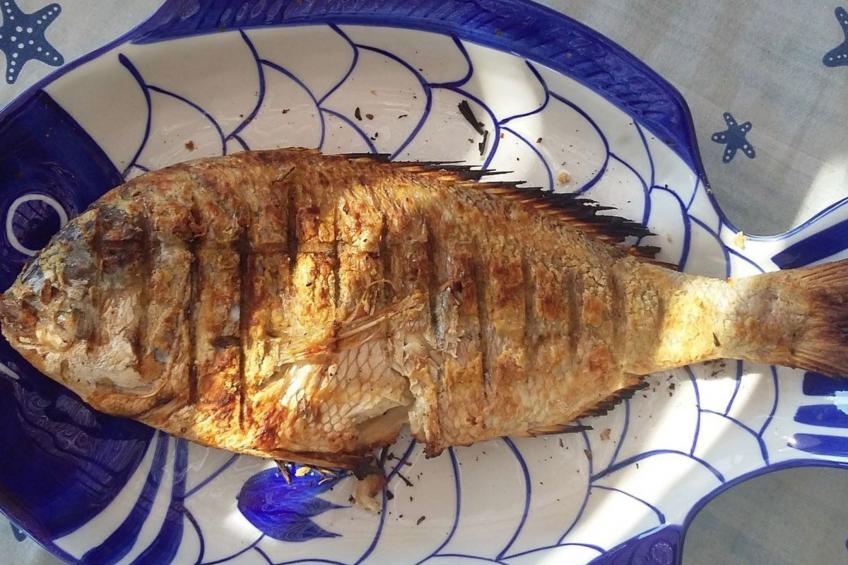 Luxuriöse, ruhige Wohnung direkt am Meer - Privatstrand - foto 27