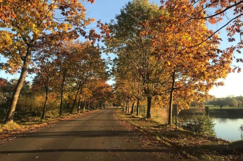 Vakantiewoning Palingsgat - foto 37