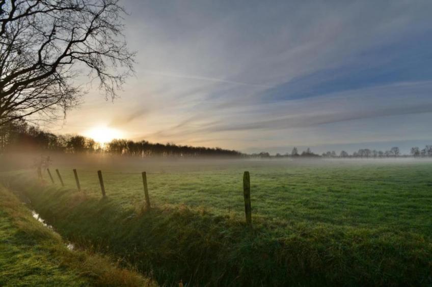 4-persoons bungalow Sondel 16 - foto 24