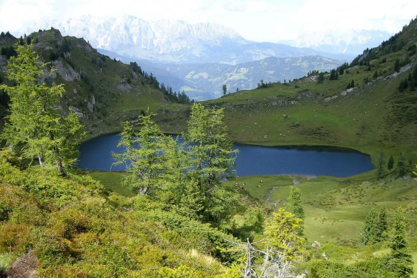 in Dorfgastein - foto 31