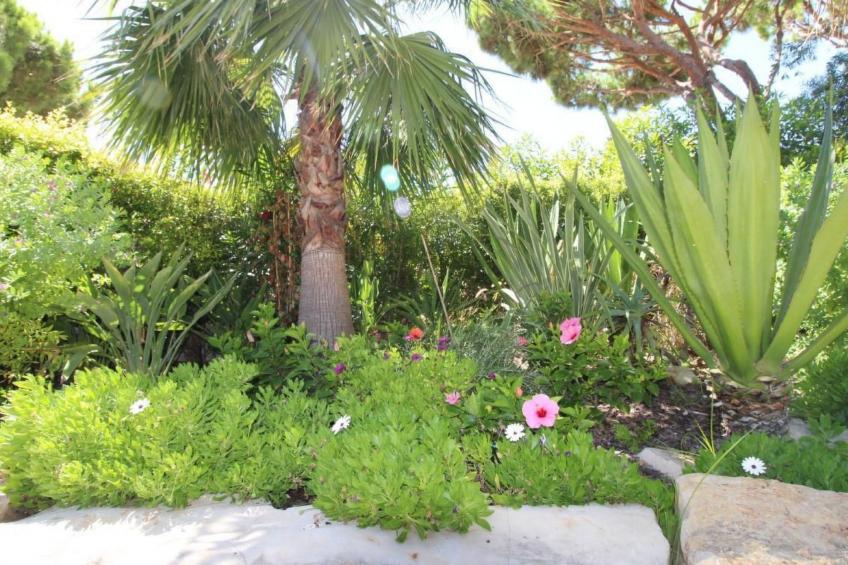 in Almancil mit Garten, Grill und Terrasse - foto 77