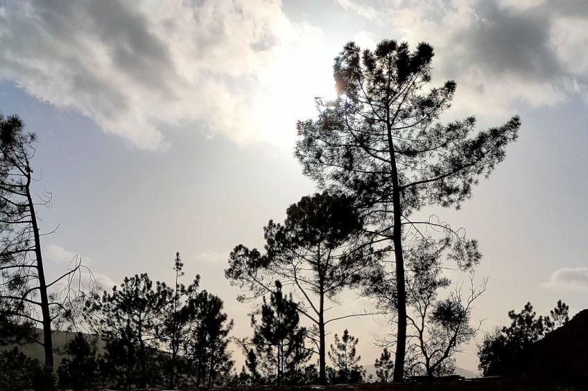 Casa da Cidreira - Villa für 4 Personen (+2) + private Suite - foto 20