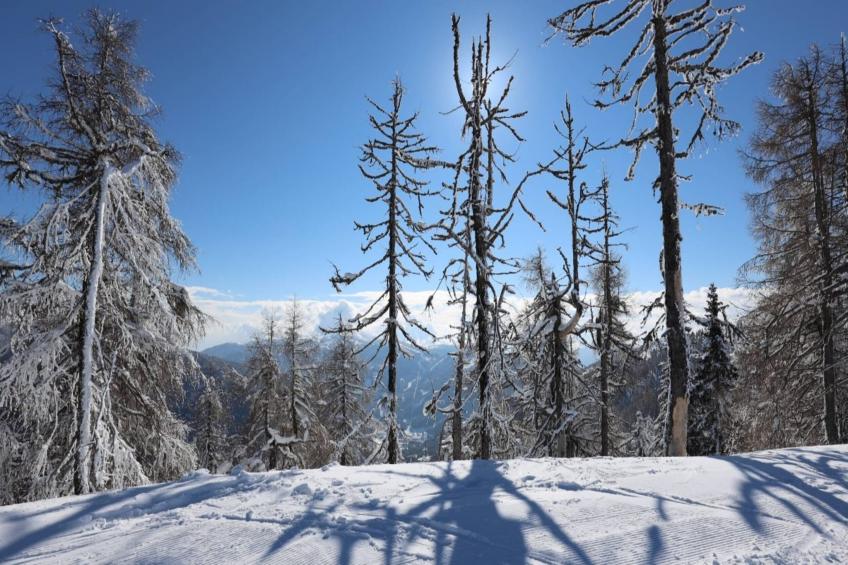 Chalet Ski In - Top 2 - foto 6