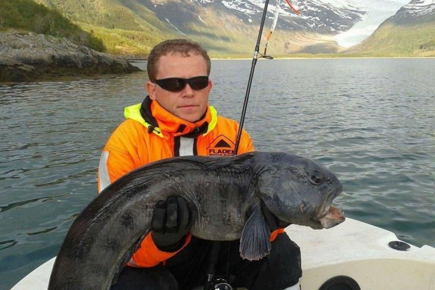 Nesset, Meløy Naturerlebnisse - foto 18