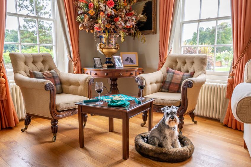 Historic Castle on River Tamar - foto 32