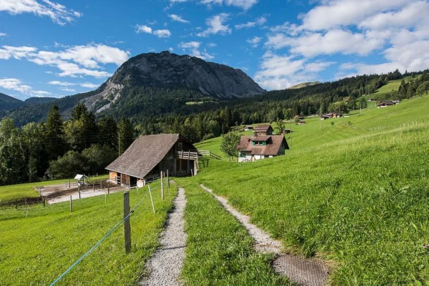 Haus Eberli-Bussmann - foto 22