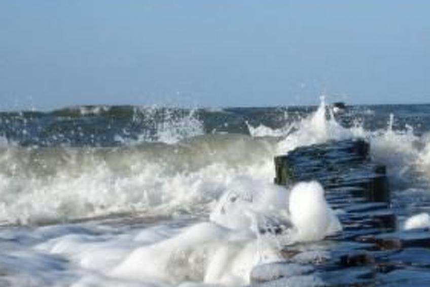 Willkommen im Ferienhaus "Luise" - foto 17