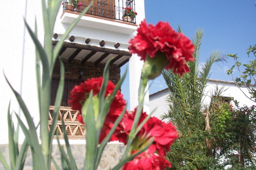 Gemütliches Haus in einer Anlage mit Garten und Schwimmbad. - foto 35