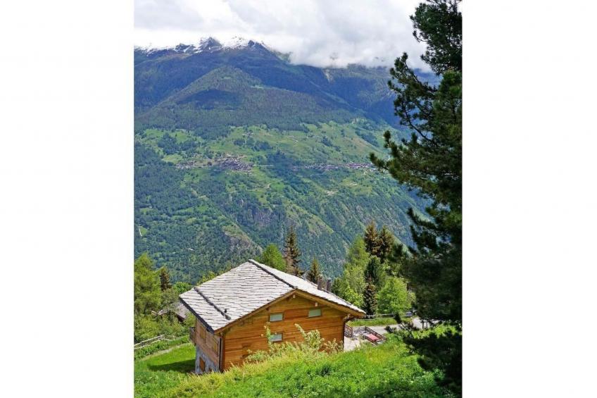Perle des Collons - foto 4