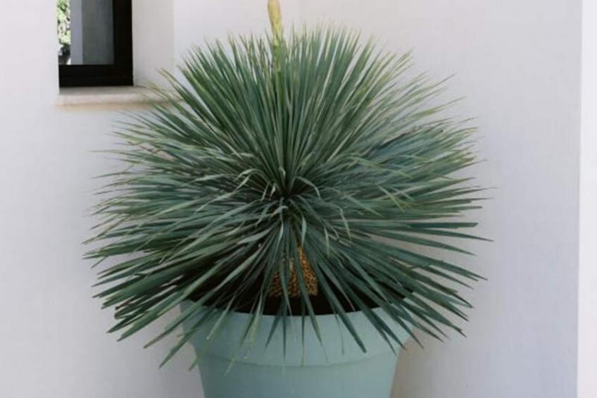 Résidence La Perle Rose Villa Standing 5 étoiles Avec Piscine Jacuzzi Et Superbe Vue - foto 39