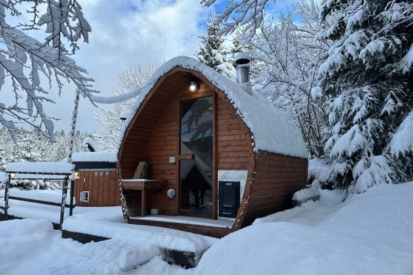 Cozy Bear Cabin - foto 37
