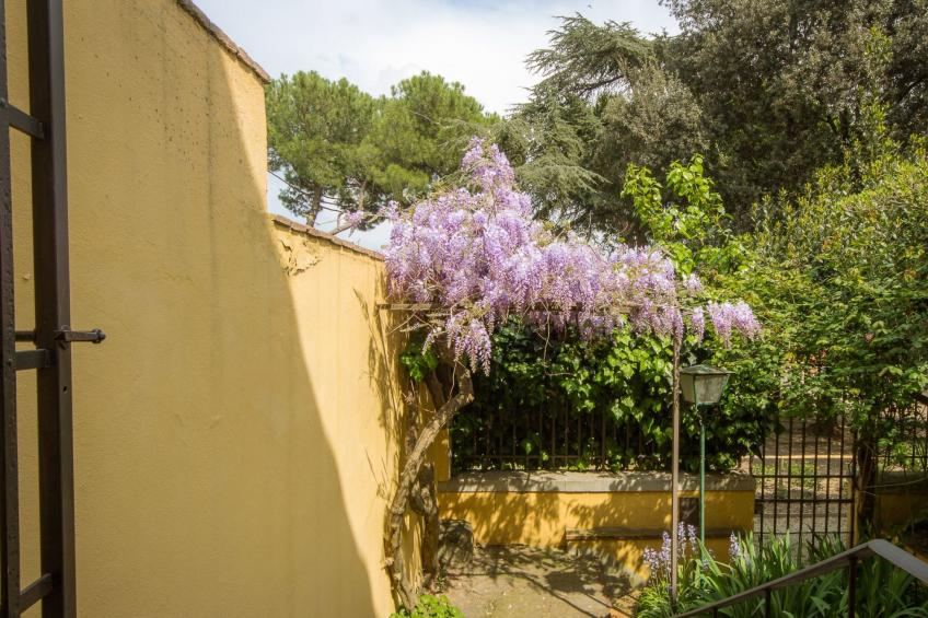 'Torrigiani - foto 43