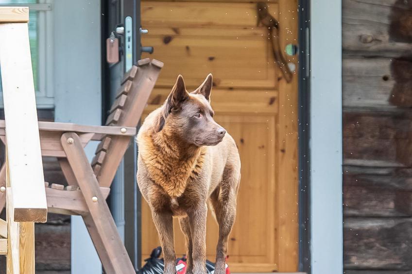 Talasniemi, rantalan lomamökit - foto 15