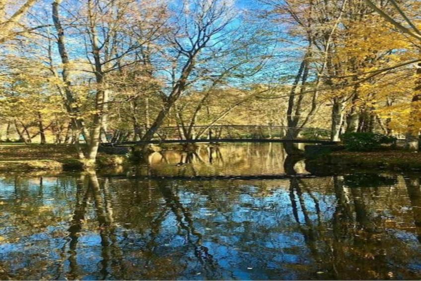 Les Trois Feuilles - foto 37