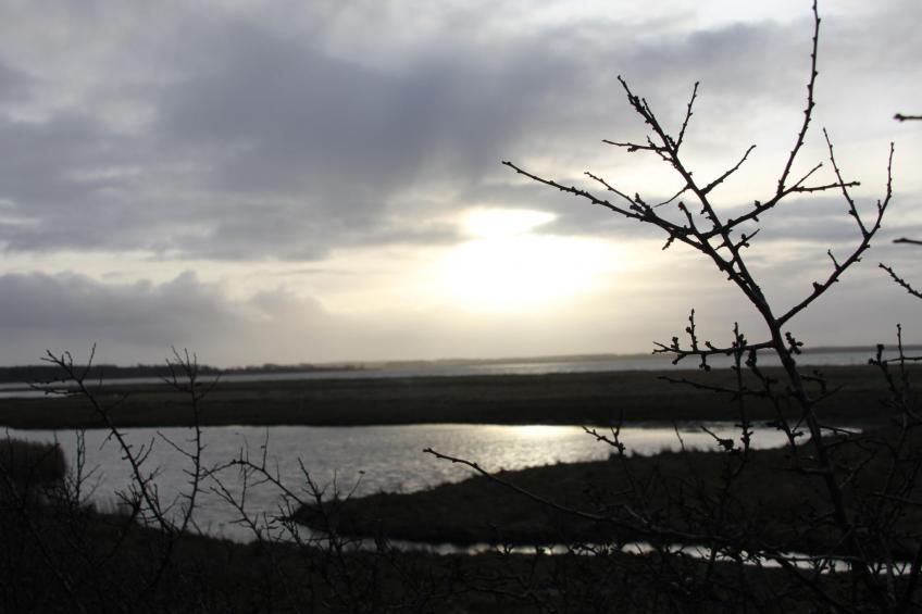 'Heile Welt' bei Maasholm - foto 26