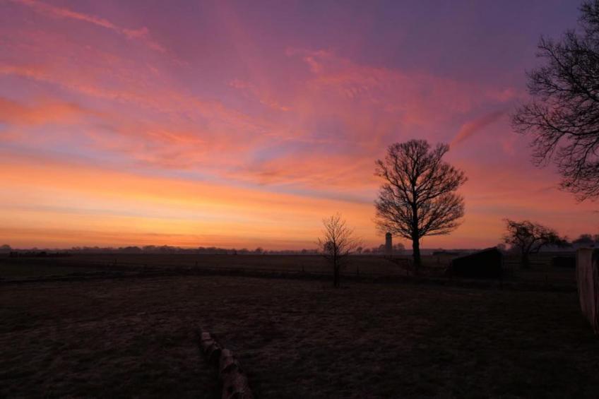 Recreatiepark Tolplas 17 - foto 34