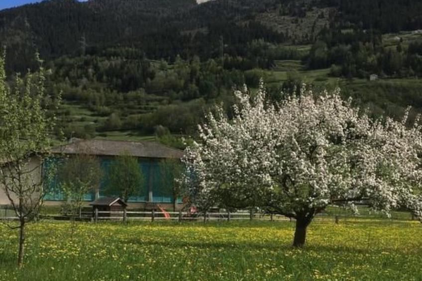 Wohnung mit Bergblick - foto 24