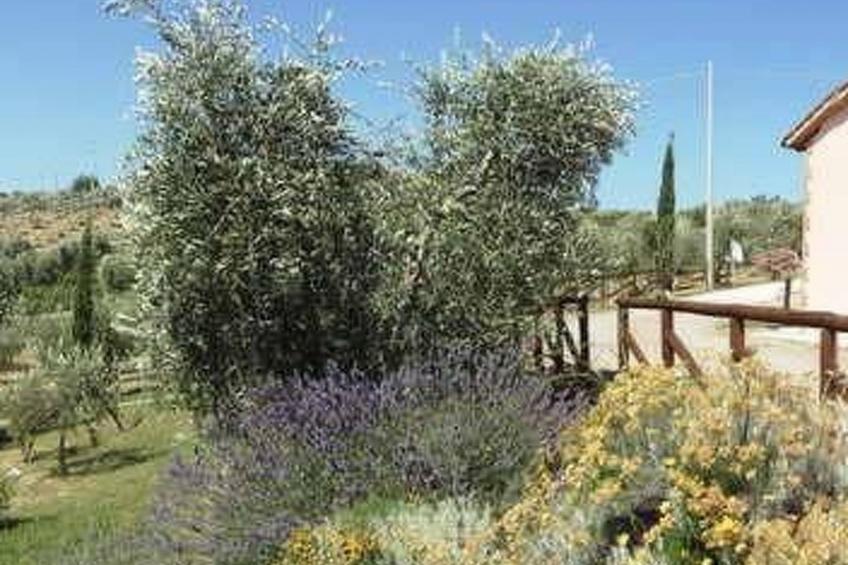 Schornsteinfegerhäuschen - foto 12