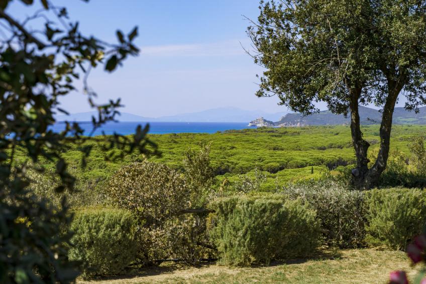 Residence Park Solemaremma (CST326) - foto 35