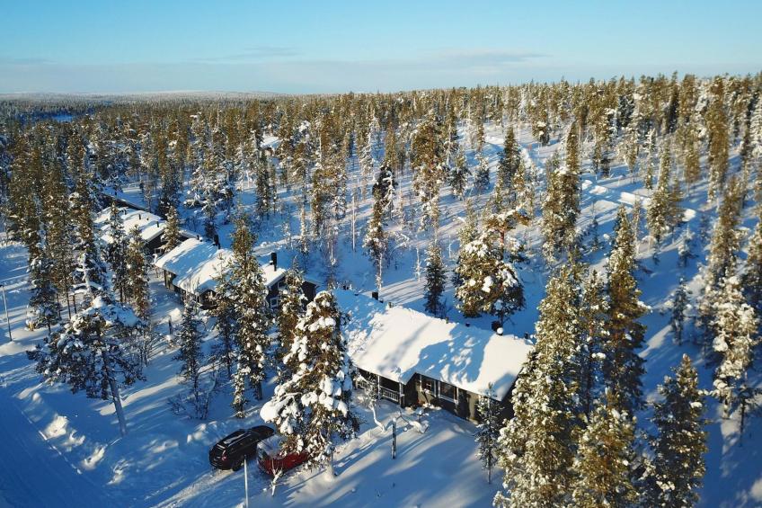Tunturikoivu b1 - foto 18
