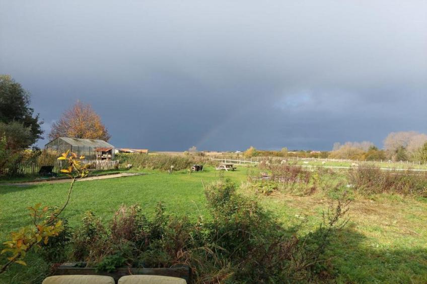 't Bloemenhof - foto 39