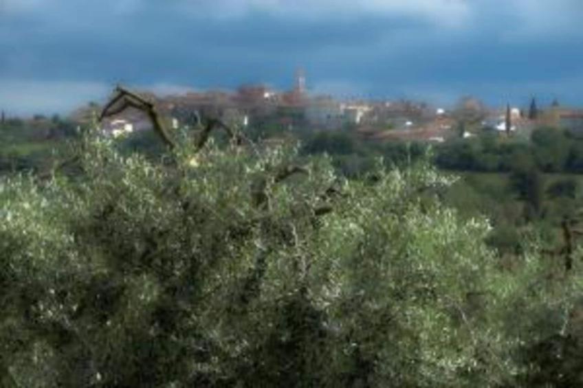 Portico della Volpe - foto 32