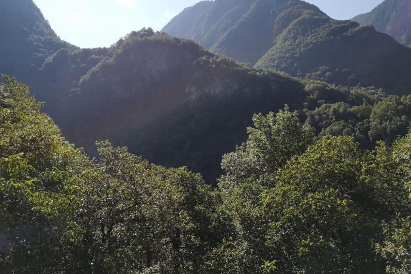 'Casa Cantoni - foto 27