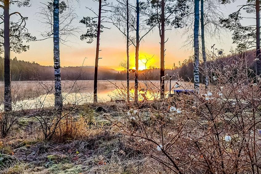 Villa ahomoisio - foto 32